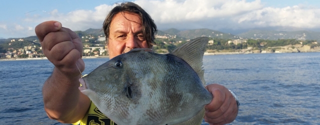  Um bom peixe 